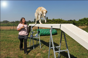 Agility - Passerelle